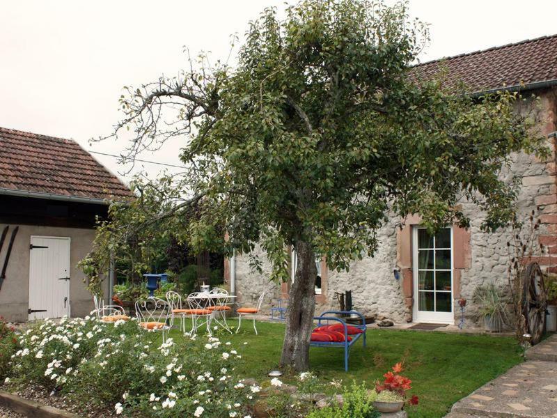 La Grange Au Tracteur Villa Saulcy-sur-Meurthe ภายนอก รูปภาพ